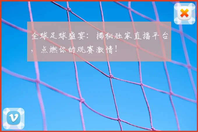 全球足球盛宴：揭秘独家直播平台，点燃你的观赛激情！