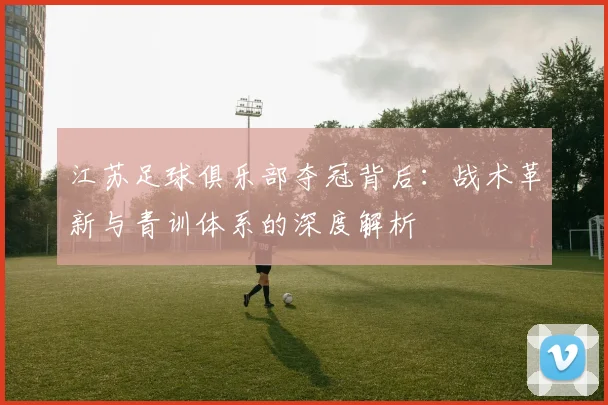 江苏足球俱乐部夺冠背后：战术革新与青训体系的深度解析