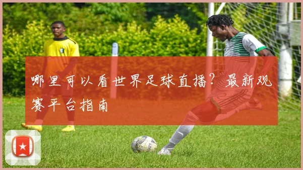 哪里可以看世界足球直播？最新观赛平台指南