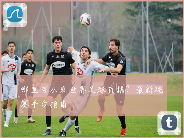 哪里可以看世界足球直播?最新观赛平台指南